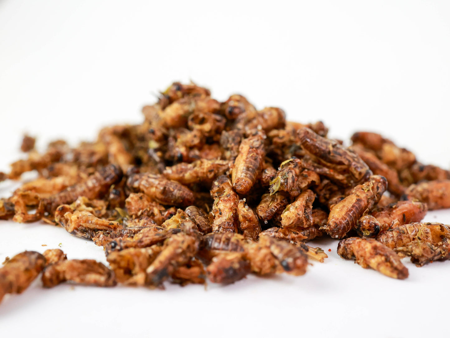 Crickets with Thyme & Pepper