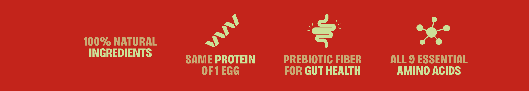 proteína de insetos snacks sustentáveis comida com insetos barras de proteína feitas com proteina de inseto snacks saudáveis com proteína de insetos comprar snacks de insetos onde comprar barras de proteína de insetos benefícios da proteína de insetos como a farinha de inseto é feita