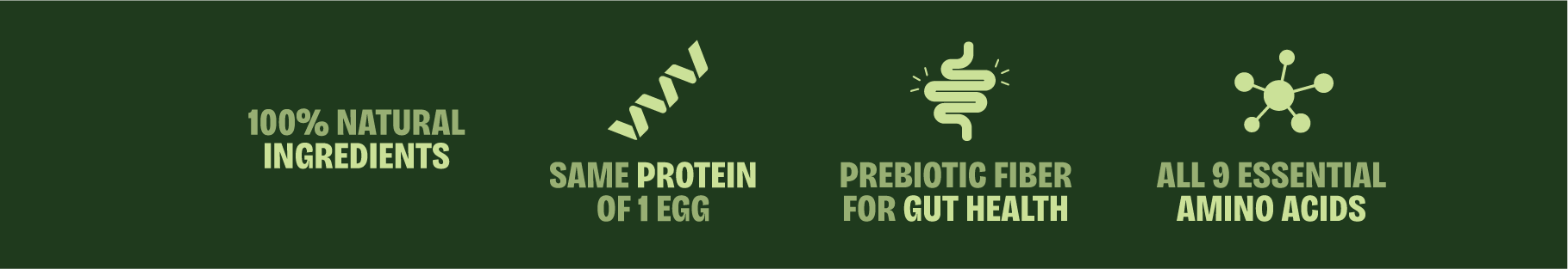 proteína de insetos snacks sustentáveis comida com insetos barras de proteína feitas com proteina de inseto snacks saudáveis com proteína de insetos comprar snacks de insetos onde comprar barras de proteína de insetos benefícios da proteína de insetos como a farinha de inseto é feita