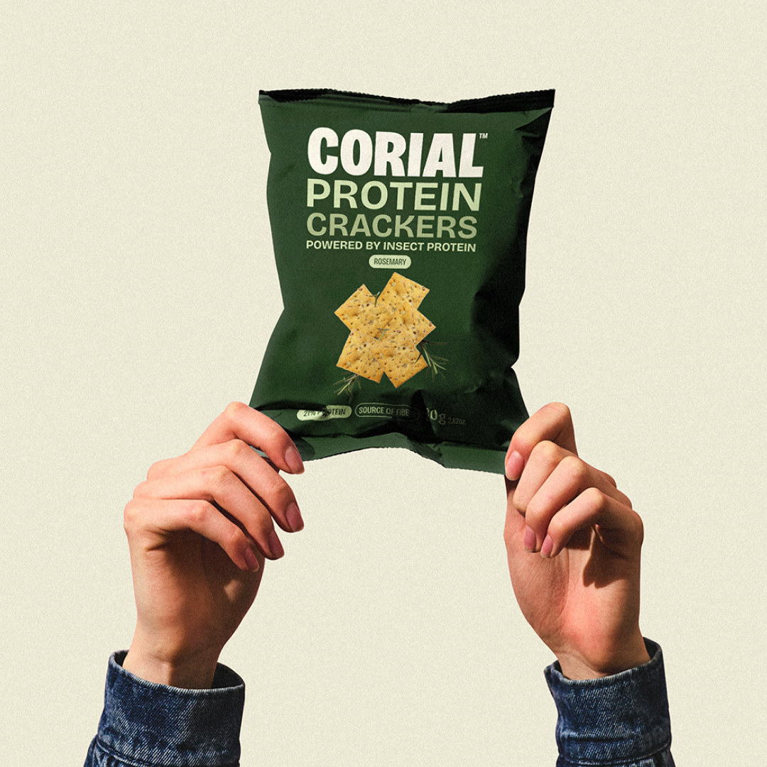 proteína de insetos snacks sustentáveis comida com insetos barras de proteína feitas com proteina de inseto snacks saudáveis com proteína de insetos comprar snacks de insetos onde comprar barras de proteína de insetos benefícios da proteína de insetos como a farinha de inseto é feita