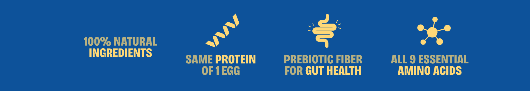 proteína de insetos snacks sustentáveis comida com insetos barras de proteína feitas com proteina de inseto snacks saudáveis com proteína de insetos comprar snacks de insetos onde comprar barras de proteína de insetos benefícios da proteína de insetos como a farinha de inseto é feita