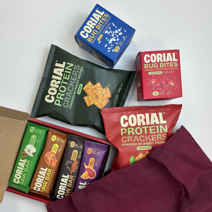Kit Sobrevivência